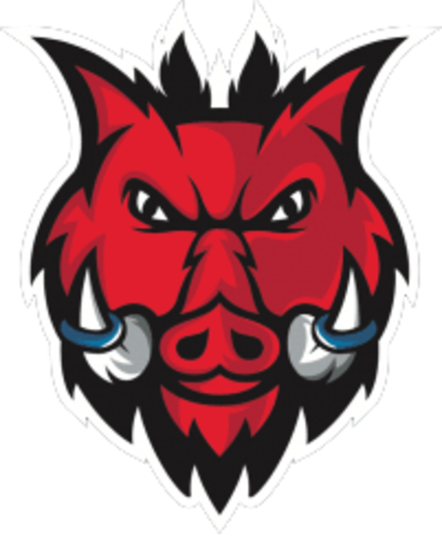 Eishogs Pfaffenhofen