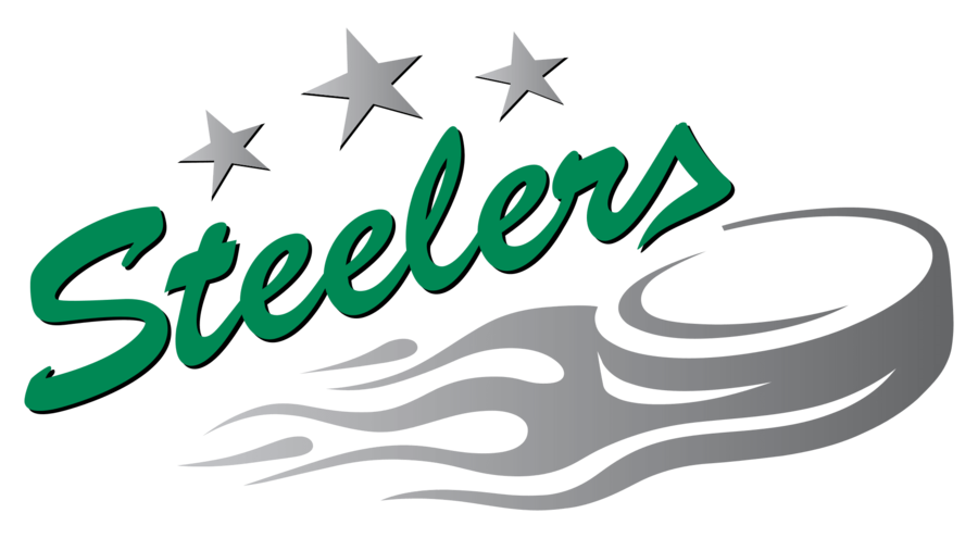 Bietigheim Steelers