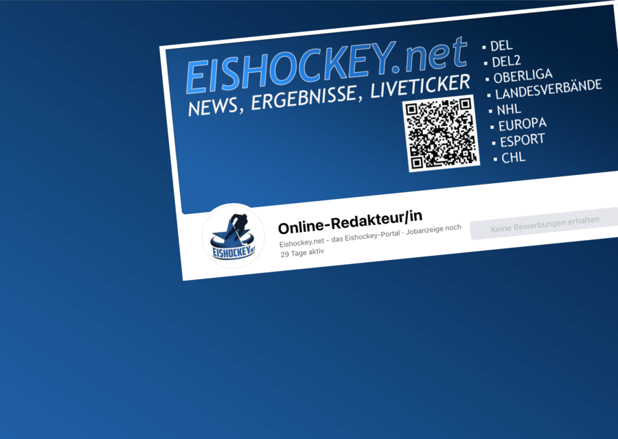 online-redakteur Kopie
