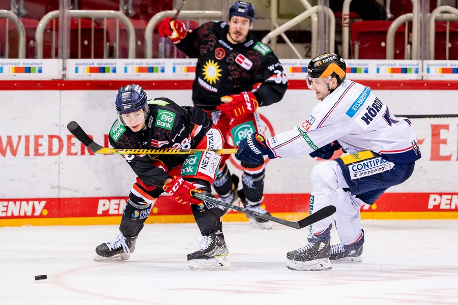 cp-d1-DEG-EBB22-067k