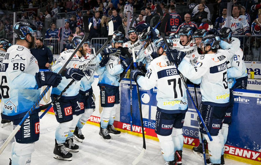 cp-d2-HF6-MAN-ERC23-205k-M