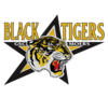 Black Tigers Moers