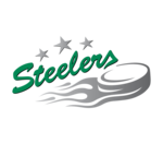 Bietigheim Steelers