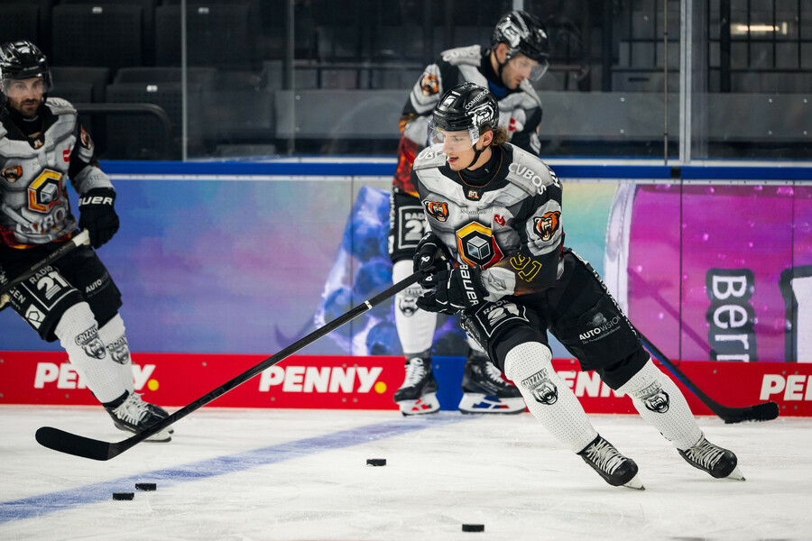 cp-d4-RBM-WOB24-131k