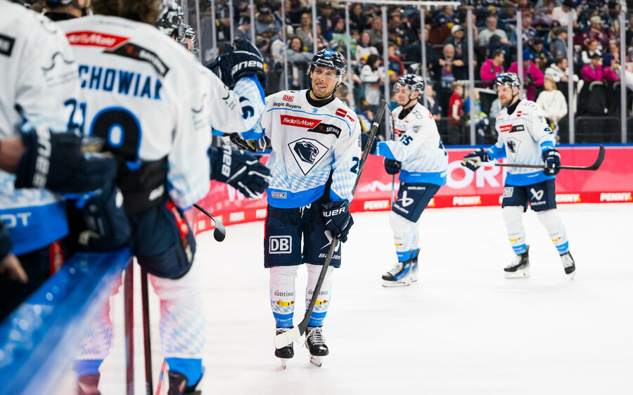 cp-d4-RBM-ERC24-115k