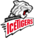 Ice Tigers unterliegen im Derby