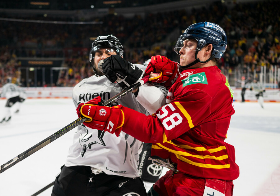 cp-d1-DEG-KEC25-174k