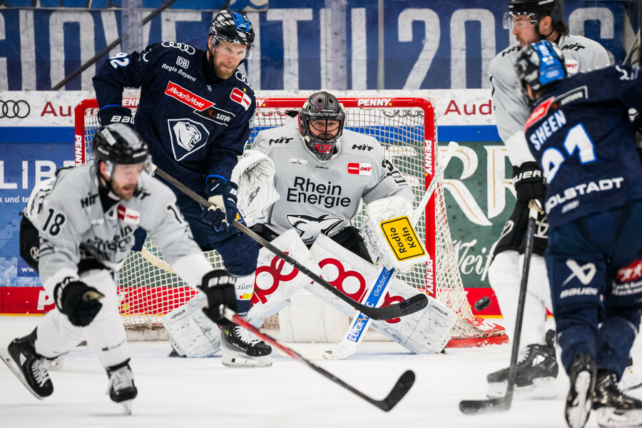 cp-d2-HF1-ERC-KEC25-066k