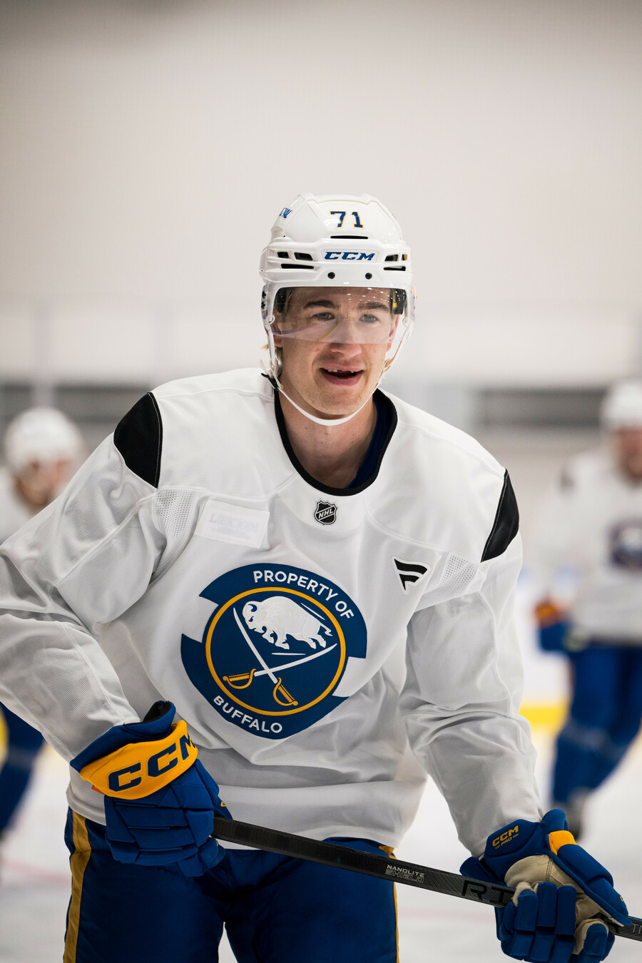 cp-d3-BUFFALO-TRG24-008k