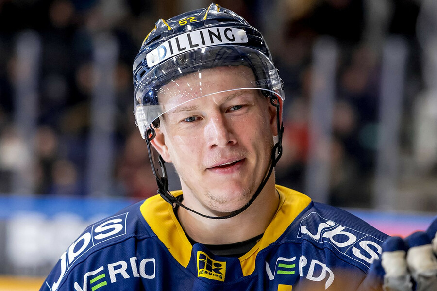 (C) Herning Blue Fox