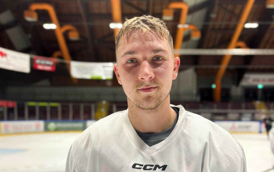 Stanislav Vrhel #28-1