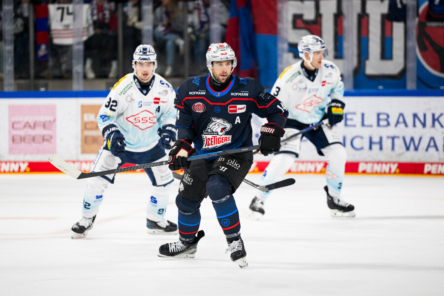 cp-SP6-NIT-DRE25-198