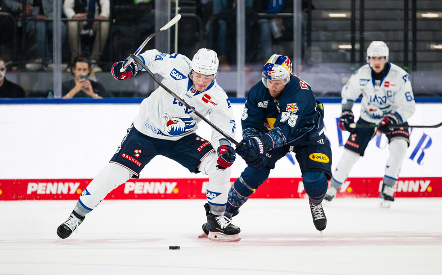 cp-SP16-RBM-MAN25-072k