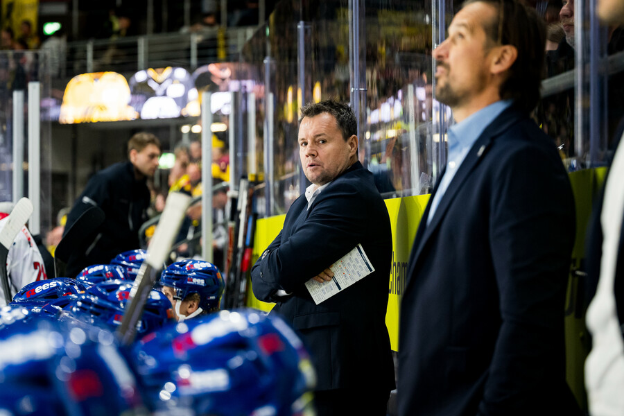 cp-SP13-KEV-FRE25-241