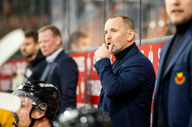 Neuer Haie-Coach für die kommende Saison?